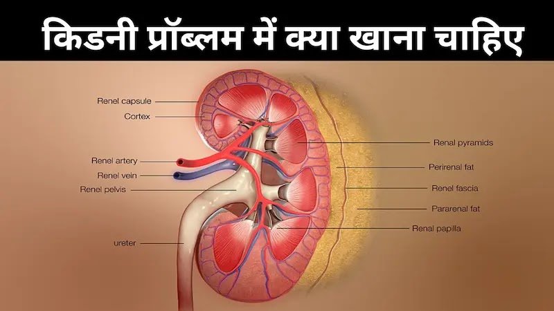 Kidney disease