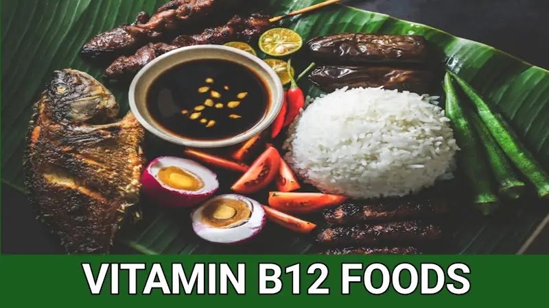 Vitamin b12 rich food